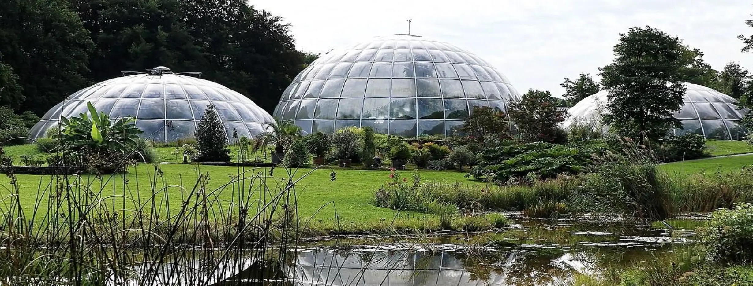 Image for Botanical Garden Exploration